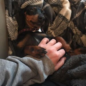 Meet your Posher, Tami